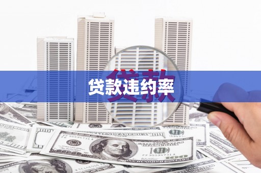 三义贷款违约率