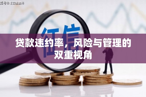 三义贷款违约率，风险与管理的双重视角