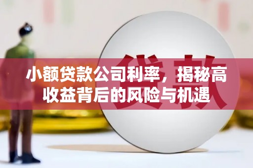 三义小额贷款公司利率，揭秘高收益背后的风险与机遇