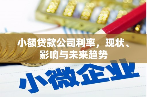 三义小额贷款公司利率，现状、影响与未来趋势