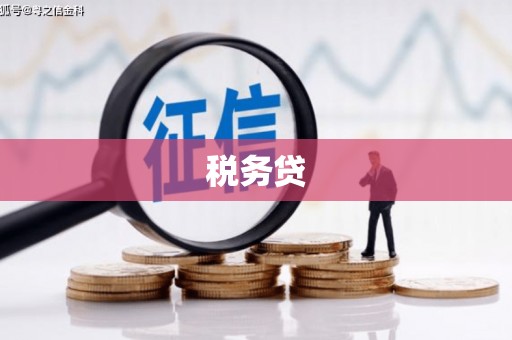 三义税务贷
