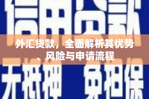 三义外汇贷款，全面解析其优势、风险与申请流程