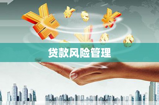 三义贷款风险管理