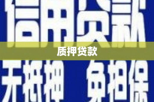 三义质押贷款