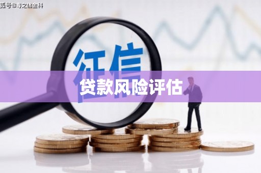 三义贷款风险评估
