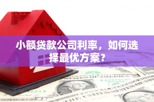 三义小额贷款公司利率，如何选择最优方案？