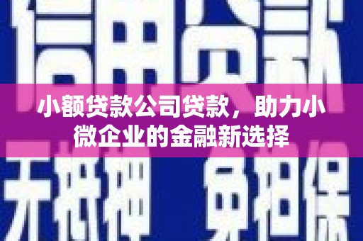 三义小额贷款公司贷款，助力小微企业的金融新选择