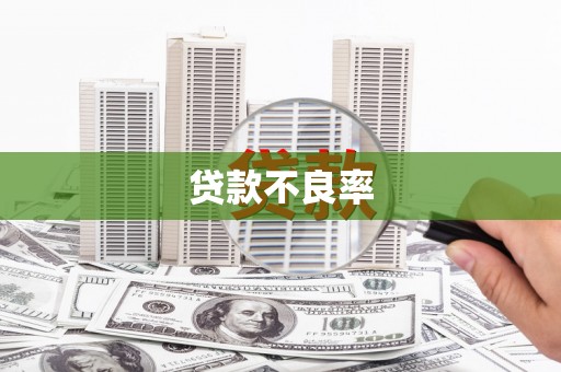 三义贷款不良率