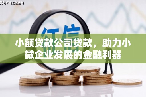 三义小额贷款公司贷款，助力小微企业发展的金融利器