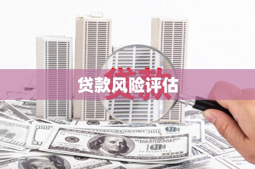 三义贷款风险评估