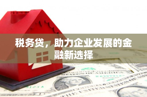 三义税务贷，助力企业发展的金融新选择