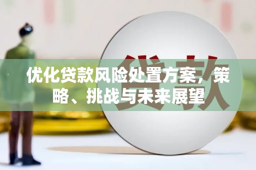 三义优化贷款风险处置方案，策略、挑战与未来展望