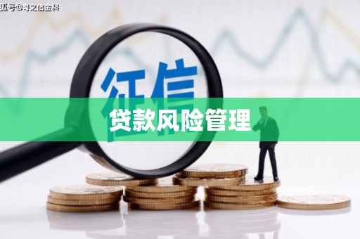三义贷款风险管理