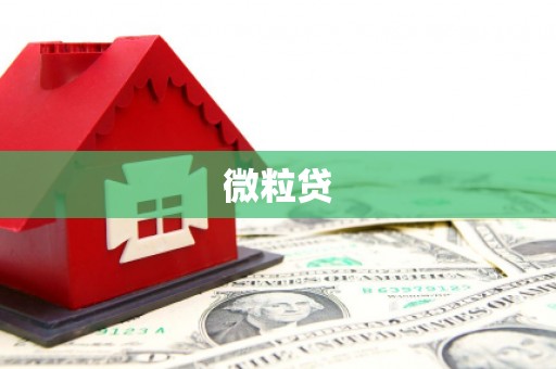 三义微粒贷