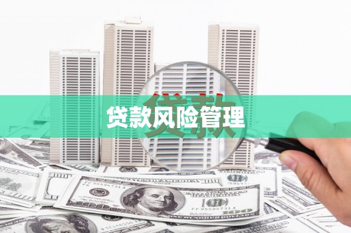 三义贷款风险管理