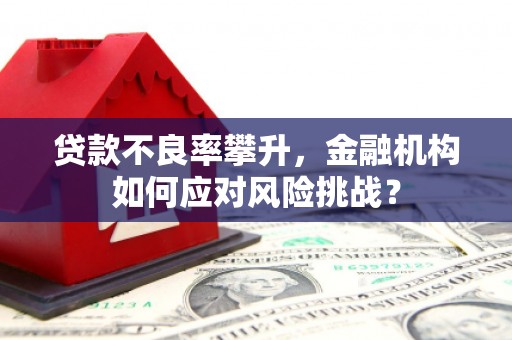 三义贷款不良率攀升，金融机构如何应对风险挑战？
