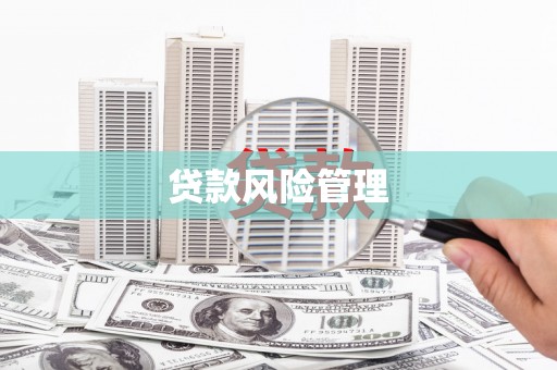 三义贷款风险管理