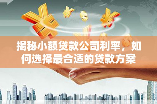 三义揭秘小额贷款公司利率，如何选择最合适的贷款方案