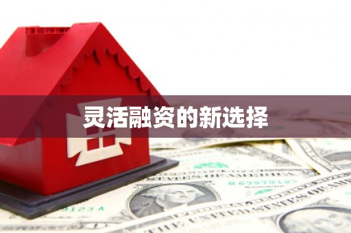 三义灵活融资的新选择