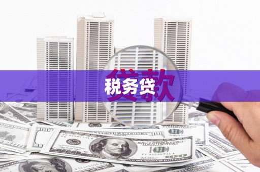 三义税务贷