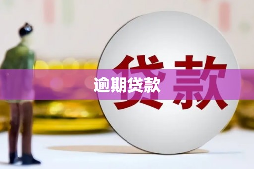 三义逾期贷款