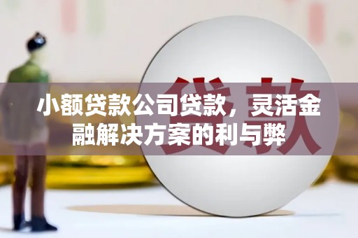 三义小额贷款公司贷款，灵活金融解决方案的利与弊